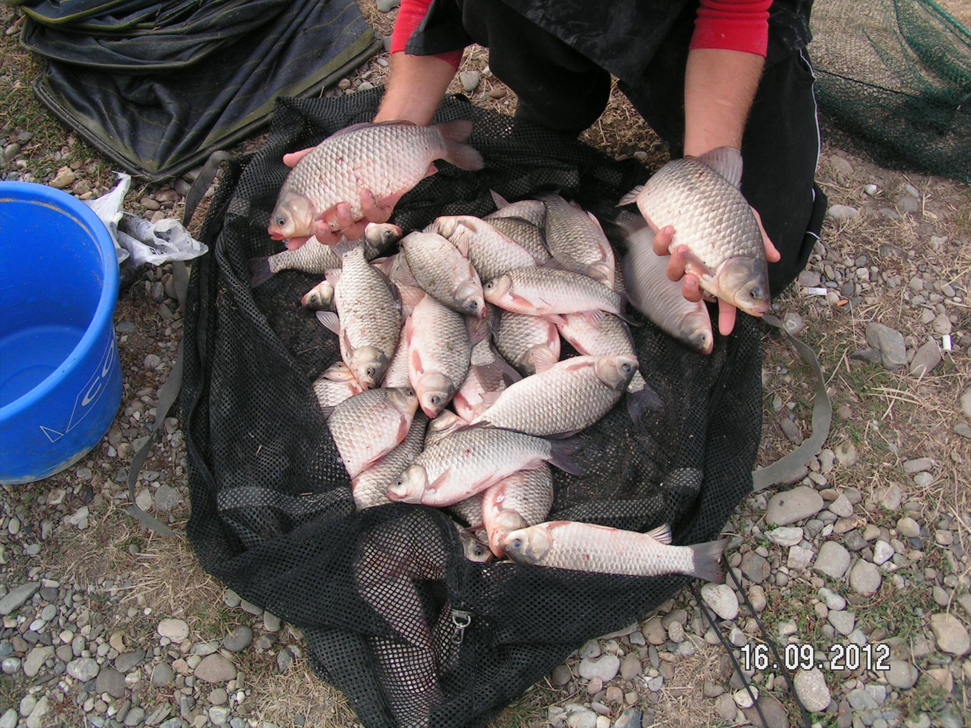 Horgesti 16.09.2012 - pict1001.JPG